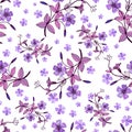 Seamless pattern of Flowers Periwinkle. Vector stock illustration eps10. Hand drawing.