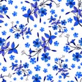 Seamless pattern of Flowers Periwinkle. Vector stock illustration eps10. Hand drawing.