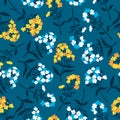 Seamless pattern with flowers of phlox in blue, yellow.