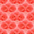 Seamless pattern of flowers pink roses. eps10 vector stock illustration Royalty Free Stock Photo