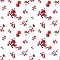 Seamless pattern with flowers of plum mei on white background.