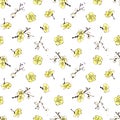 Seamless pattern with flowers of plum mei on white background.