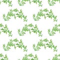 Seamless pattern flowers. The seamless design seamlessly integrated different elements nature and art Royalty Free Stock Photo
