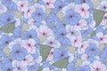 Seamless pattern flowers