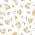 Seamless pattern with flowers of tansy and butterflies. Tanacetum on awhite background. Botanical hand drawn illustration