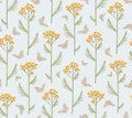 Seamless pattern with flowers of tansy and butterflies. Tanacetum on a light blue Background. Botanical hand drawn illustration Royalty Free Stock Photo