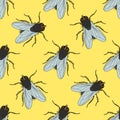 Seamless pattern with fly. Musca domestica . hand-drawn . fly. Vector