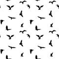 Seamless pattern of flying birds silhouettes on white background Royalty Free Stock Photo