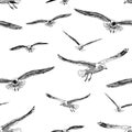 Seamless pattern of the flying gulls sketches Royalty Free Stock Photo