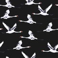 Seamless pattern with flying Japanese cranes bird on black background.