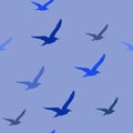 Seamless pattern with flying seagulls on blue background, vector eps 10 Royalty Free Stock Photo