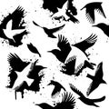 Seamless pattern of flying starlings silhouette. Vector illustration