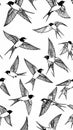 Seamless pattern with flying swallows hand drawn sketch black and white vector illustration Royalty Free Stock Photo
