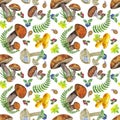 Seamless pattern forest: edible mushrooms, leaves, berries, fern, snail, cranberry. Hand draw watercolor illustration on