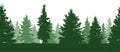 Seamless pattern. Forest, green fir trees silhouette. Vector