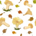 Seamless pattern with forest mushrooms chanterelles on a white background with flying autumn leaves