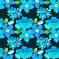 Seamless pattern of forget-me-alpine a wild flower vector illu Royalty Free Stock Photo