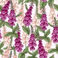 Seamless pattern with foxglove flowers. Vector.