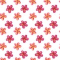 Seamless pattern Frangipani plumeria pink flowers. Jungle tropical exotic foliage. Hand-drawn watercolor illustration Royalty Free Stock Photo