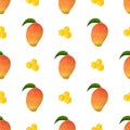 Seamless pattern with fresh bright exotic whole and sliced mango isolated on white background. Summer fruits for healthy lifestyle Royalty Free Stock Photo