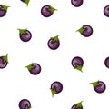 Seamless Pattern with Fresh Eggplant Vegetable isolated on white background. Cartoon Flat Style. Vector illustration for Your Royalty Free Stock Photo