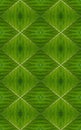 Seamless pattern with fresh green leaf