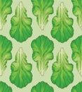 Fresh Green Lettuce Leaf Pattern Royalty Free Stock Photo