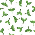 Seamless pattern with fresh spring sprouts. Green seedlings.