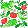 Seamless pattern of fresh vegetables for the salad of cucumbers, tomatoes, lettuce and parsley on a white background. Royalty Free Stock Photo