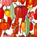 Seamless pattern with fresh vegetables