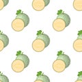 Seamless pattern with fresh whole, half melon fruit isolated on white background. Cantaloupe melon. Summer fruits for healthy Royalty Free Stock Photo