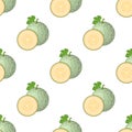 Seamless pattern with fresh whole, half melon fruit isolated on white background. Cantaloupe melon. Summer fruits for healthy Royalty Free Stock Photo