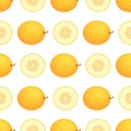 Seamless pattern with fresh whole and half melon fruit on white background. Honeydew melon. Summer fruits for healthy lifestyle. Royalty Free Stock Photo