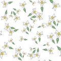 Seamless pattern with fresh woodruff flowers. Good for backdrop, textile, wrapping paper, wall posters. Vector continuous line dra