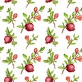 Seamless pattern with fruit tree branches and leaves,flower and pomegranate Royalty Free Stock Photo