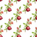 Seamless pattern with fruit tree branches and leaves,flower and pomegranate Royalty Free Stock Photo