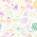 Seamless pattern with fruit on a white background Royalty Free Stock Photo