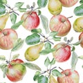 Seamless pattern with fruits. Apple and pear. Watercolor illustration.