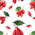 Seamless pattern with fruits of dogwood