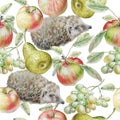Seamless pattern with fruits and hedgehog. Apple, grapes and pear.Watercolor illustration. Royalty Free Stock Photo
