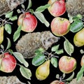 Seamless pattern with fruits and hedgehog. Apple and pear. Watercolor illustration. Royalty Free Stock Photo