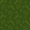 Seamless pattern. Fruits and leaves of Linden, vector illustration