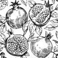 seamless pattern of fruits and pomegranate leaves, vector pattern in sketch style. hand drawing, engraving Royalty Free Stock Photo