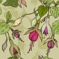 Seamless pattern with fuchsia flower