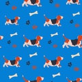 Seamless pattern with funny cartoon basset hound. Background with cute family dog.