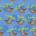 Seamless pattern funny and cute smiling Three-toed sloth on green branch tree creeper, blue trendy background. Vector