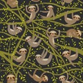 Seamless pattern funny and cute smiling Three-toed sloth on green branch tree creeper, darck green trendy background. Vector Royalty Free Stock Photo