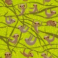 Seamless pattern funny and cute smiling Three-toed sloth on green branch tree creeper, green trendy background. Vector