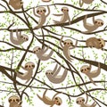 Seamless pattern funny and cute smiling Three-toed sloth on green branch tree creeper, isolated white trendy background. Vector Royalty Free Stock Photo