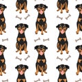 Seamless pattern, funny dogs and bones. Cartoon print, textile for kids vector